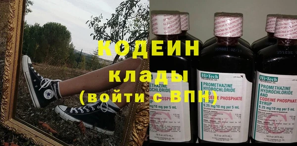 СК Чита