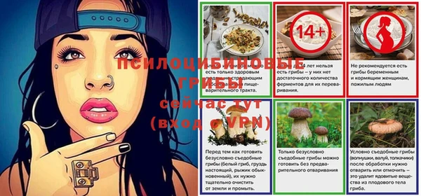 стаф Майский