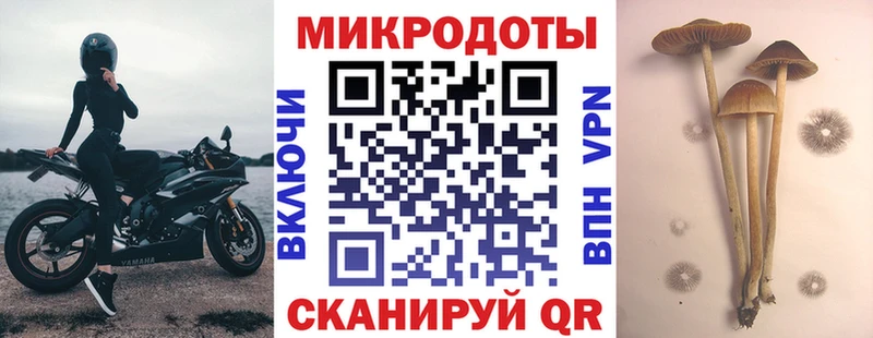 Купить закладки  Междуреченск  Псилоцибиновые грибы ЛСД 